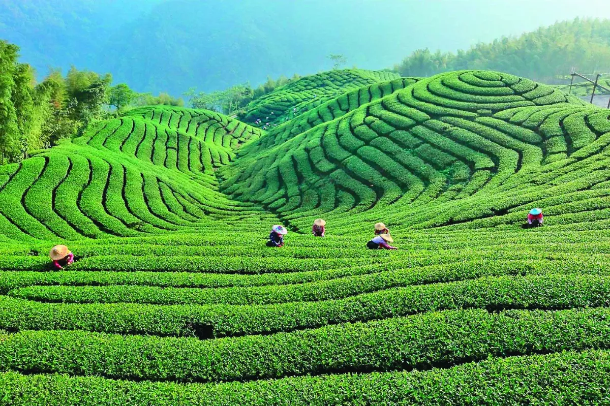美旅遊雜誌票選  台灣獲選最愛冒險旅遊地