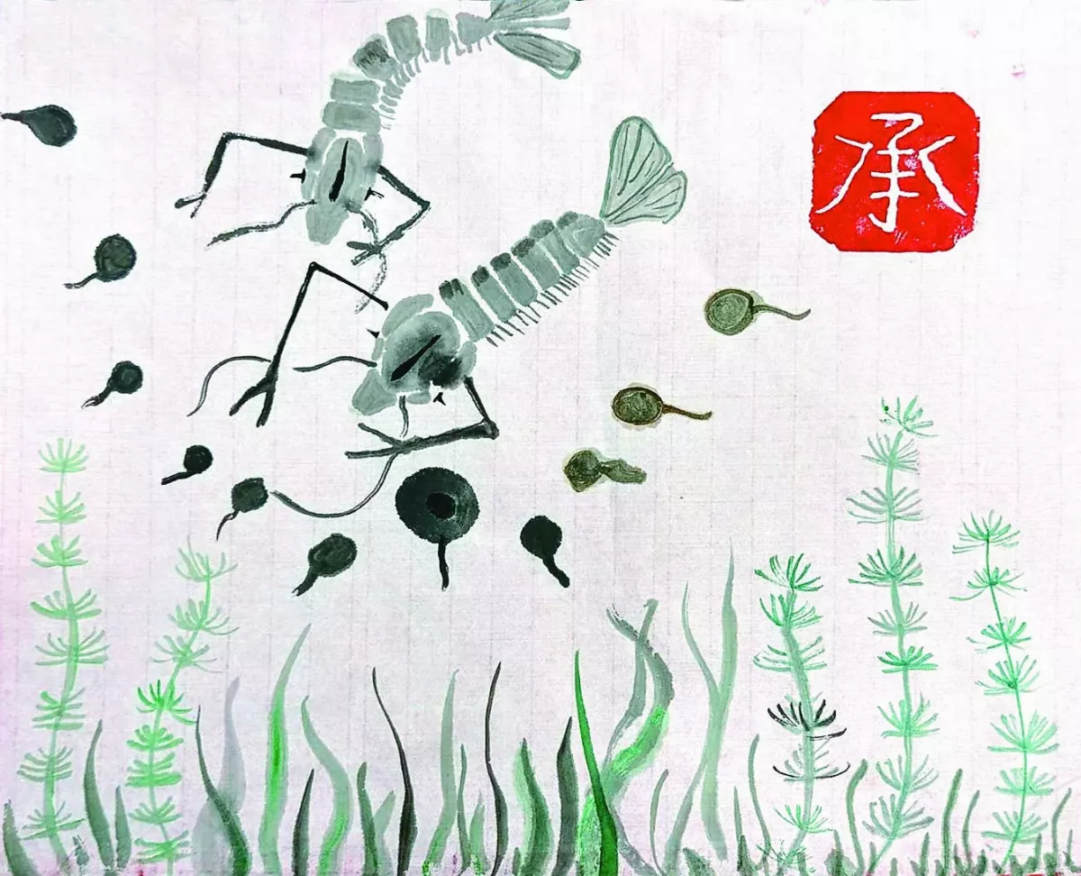 【快樂塗鴉簿】小蝌蚪找媽媽