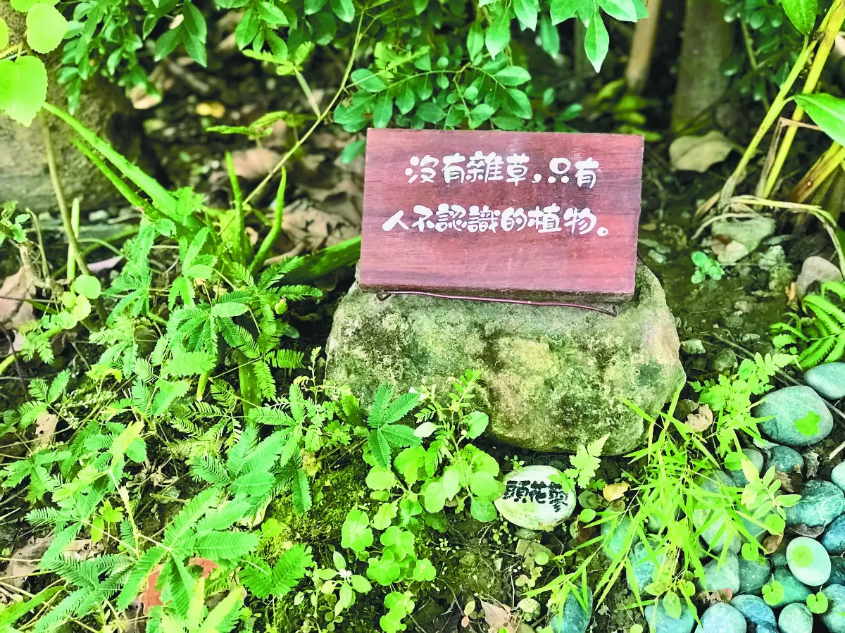 【沒有雜草】 森林公園與城市（下）