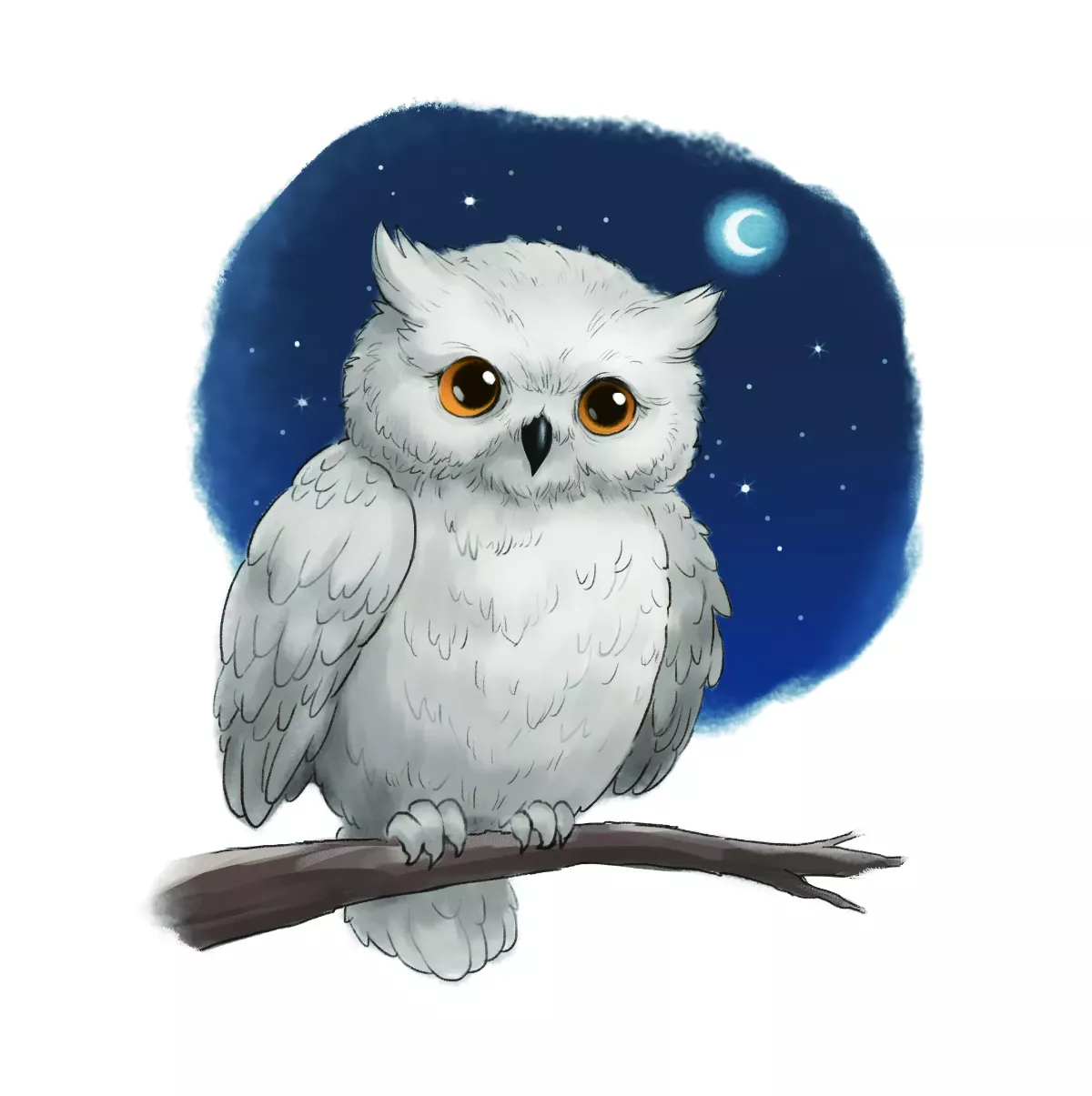 【趣味動物園】神祕夜獵者──貓頭鷹