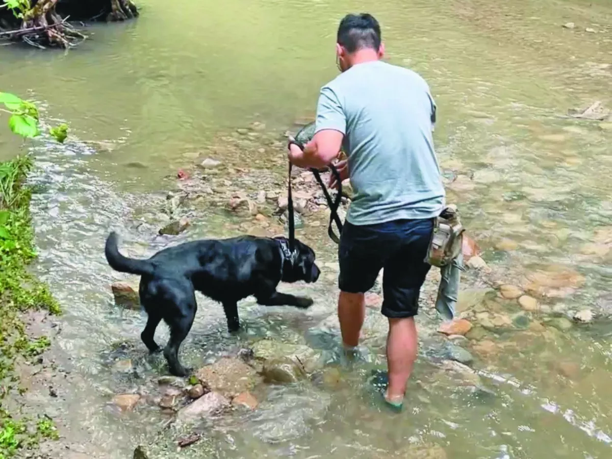台首隻電子偵測犬 手機硬碟都聞得出