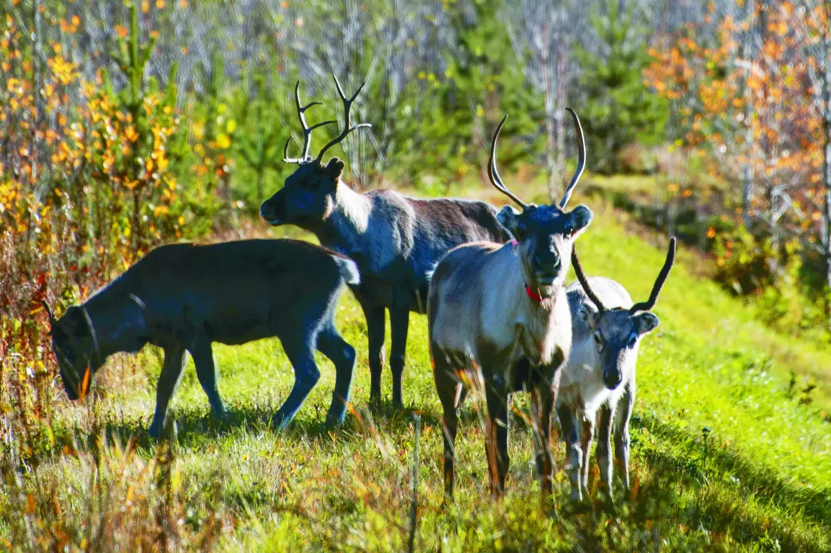 高溫、融冰、海洋發燙 地球正走進未知領域