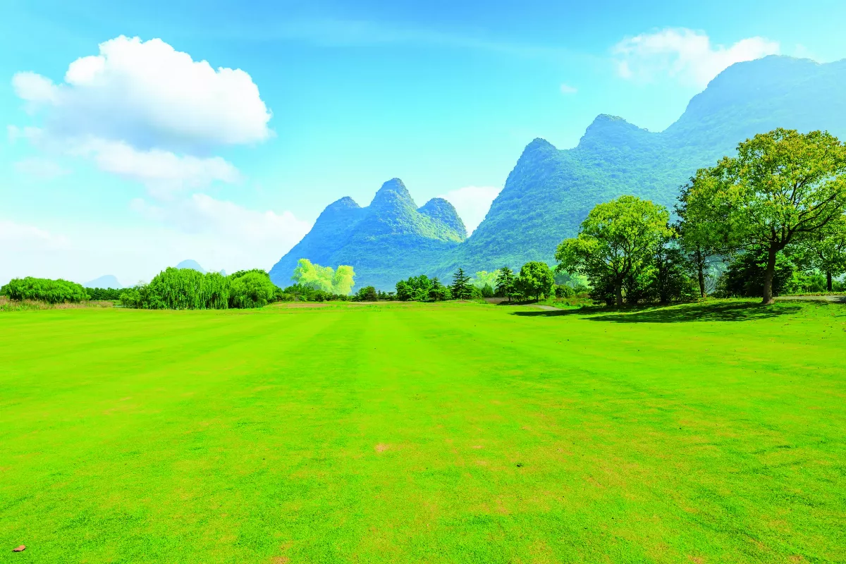 【佛法真義2佛學思想 (80)】殺生與殺心