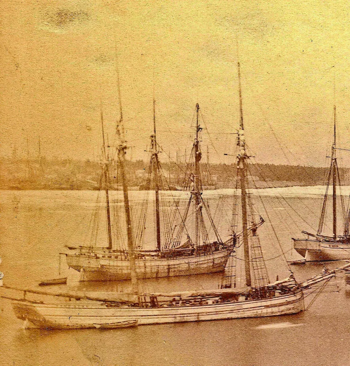 沉沒156年  縱帆船特立尼達號現蹤