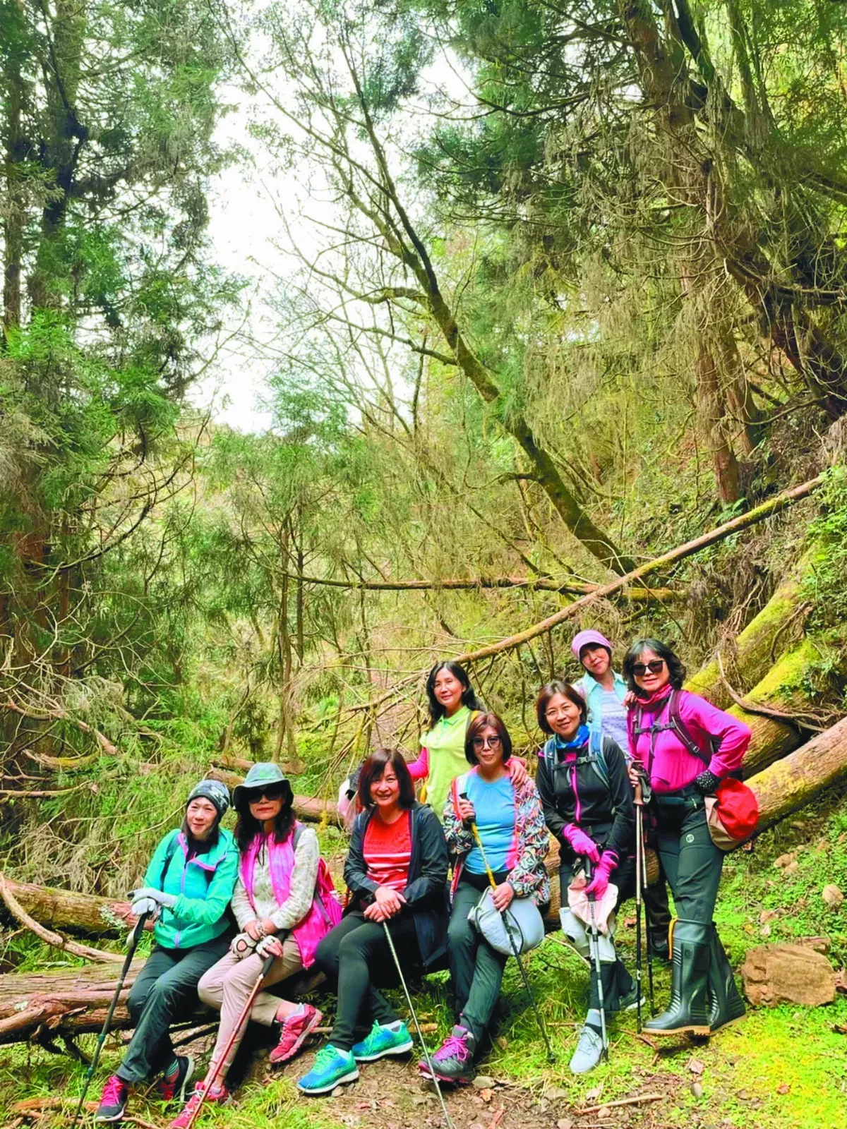 女校長登山隊 3年登14座百岳
