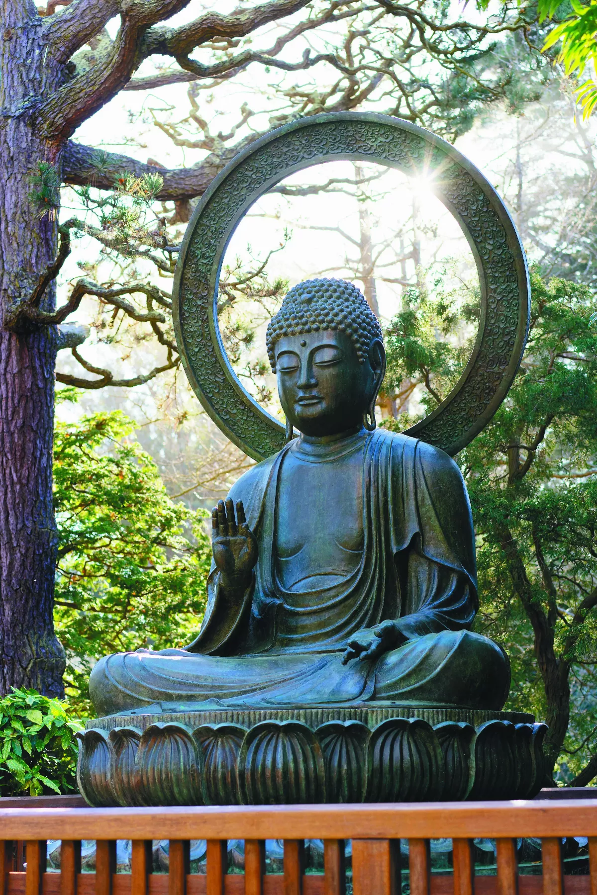 【來一壺無我茶吧】佛心˙牛糞心