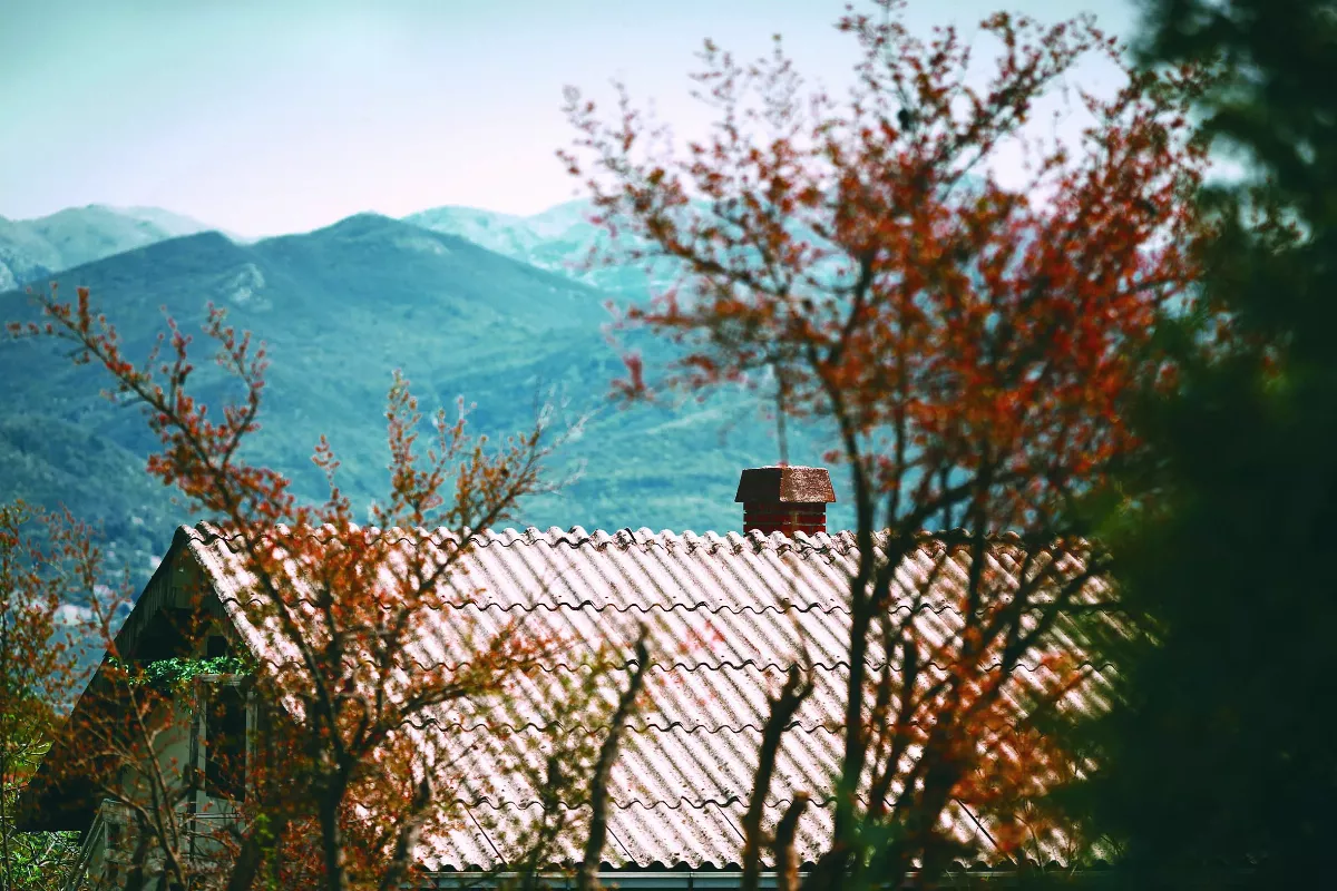 【生命畫語】遊子心