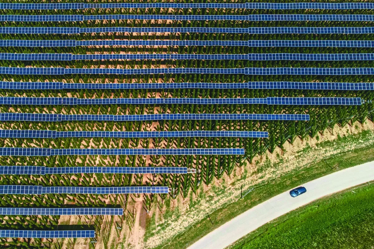 收集6千植物樣本 種子銀行確保後世糧安