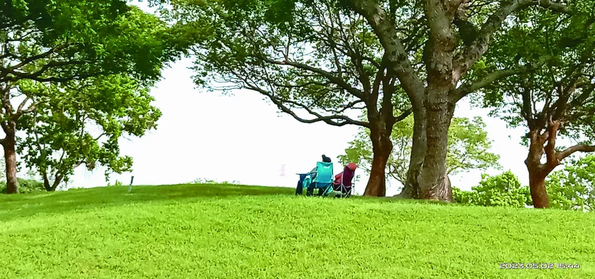 【生活快門】夏日風情