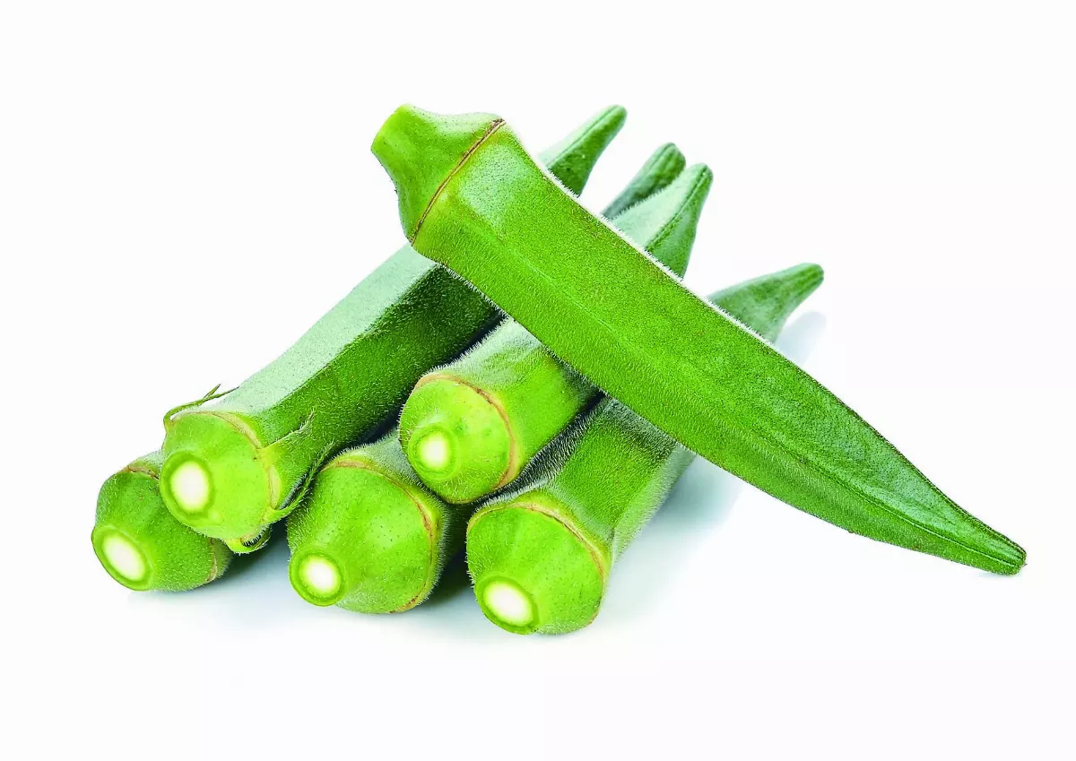 當季食材  秋天養生美味時蔬