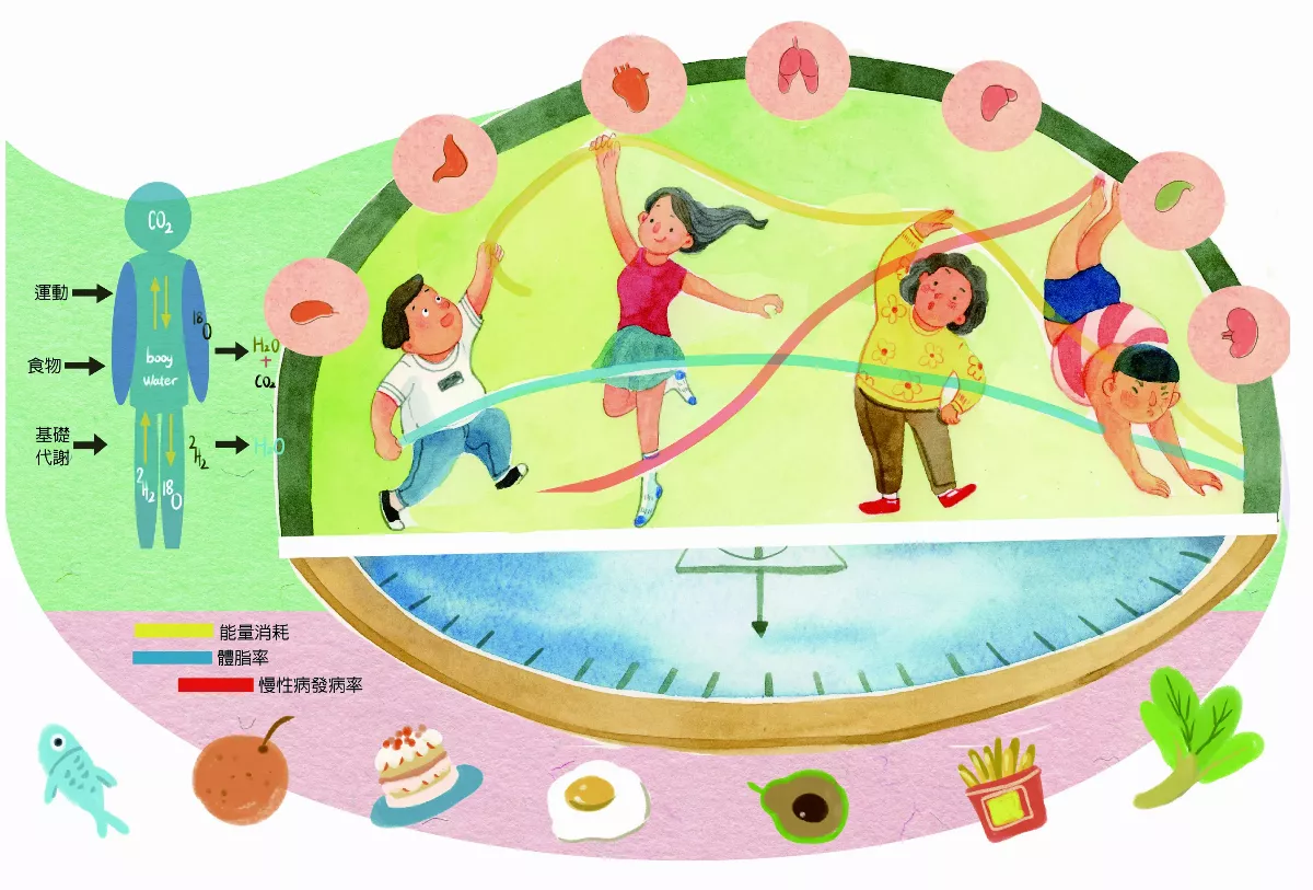 你新陳代謝 正常嗎？