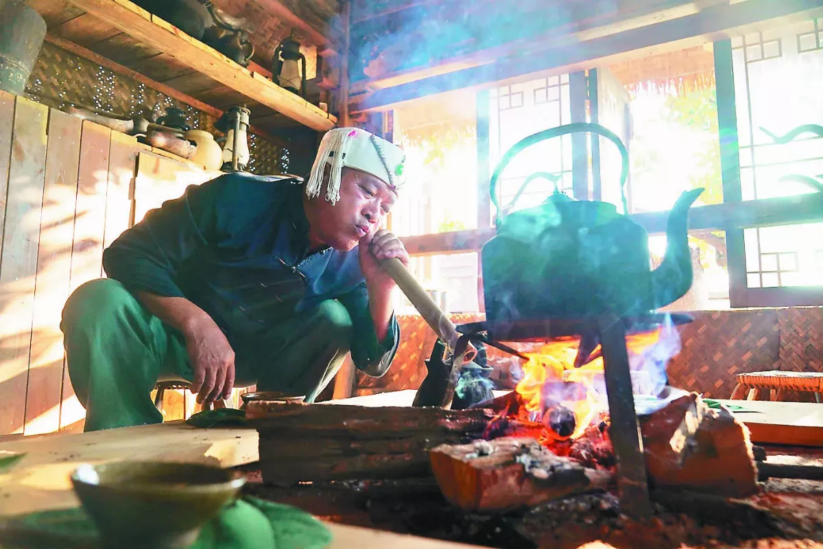 雲南普洱景邁山古茶林 申遺成功