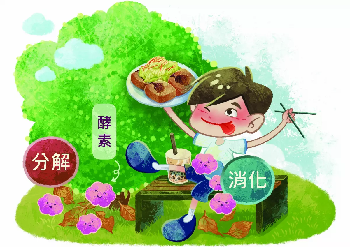 酵素是什麼？