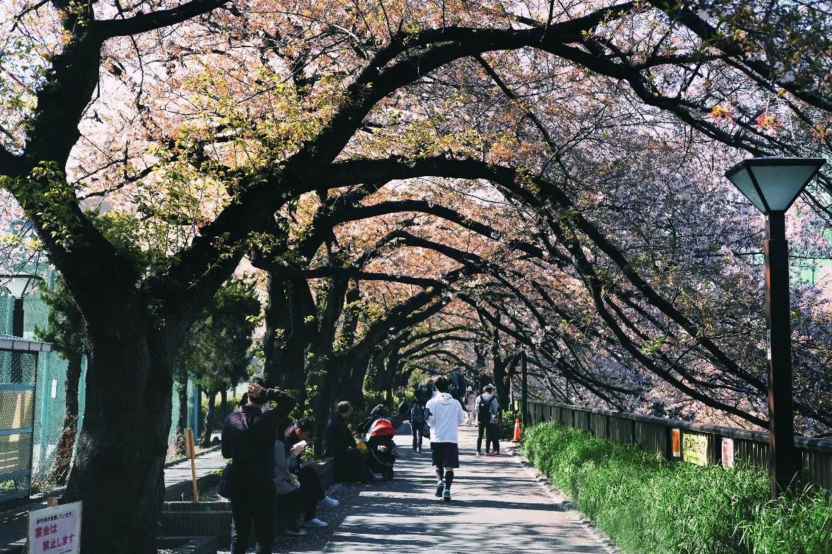 【來一壺無我茶吧】說故事的旅程