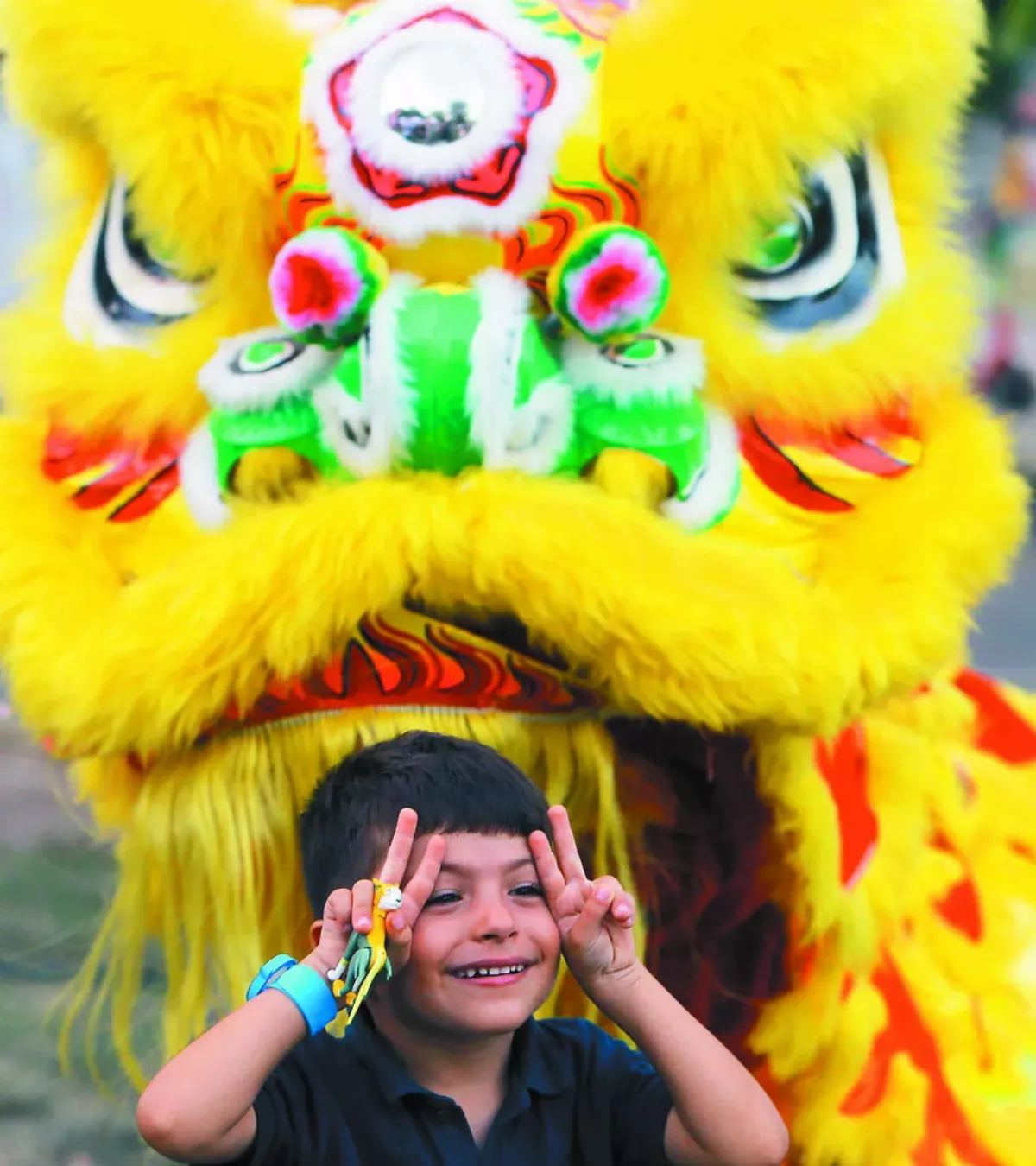 羅馬尼亞亞洲節 男童看舞獅