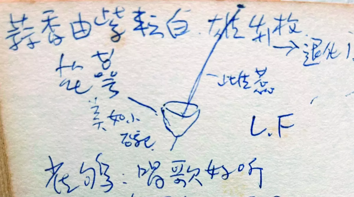 【沒有雜草】 我筆畫我眼