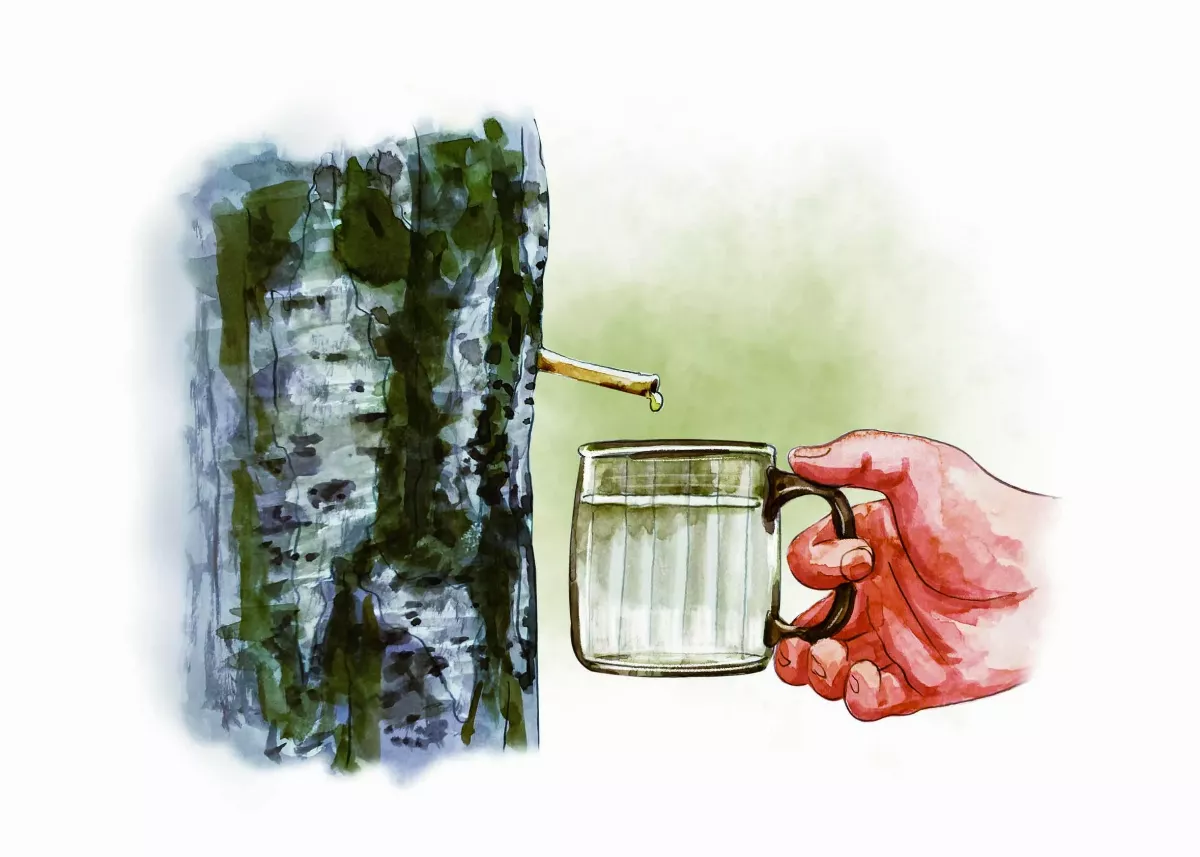 【王文靜看世界】坐在餐桌環遊世界 ──菜餚的世界地圖