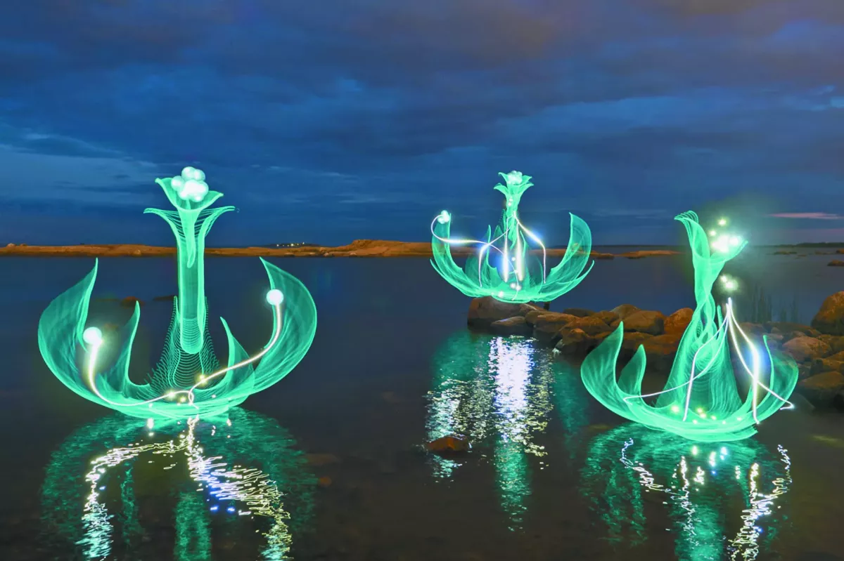 暫存世界1秒鐘 夢幻光畫  永夜綻放奇蹟之花