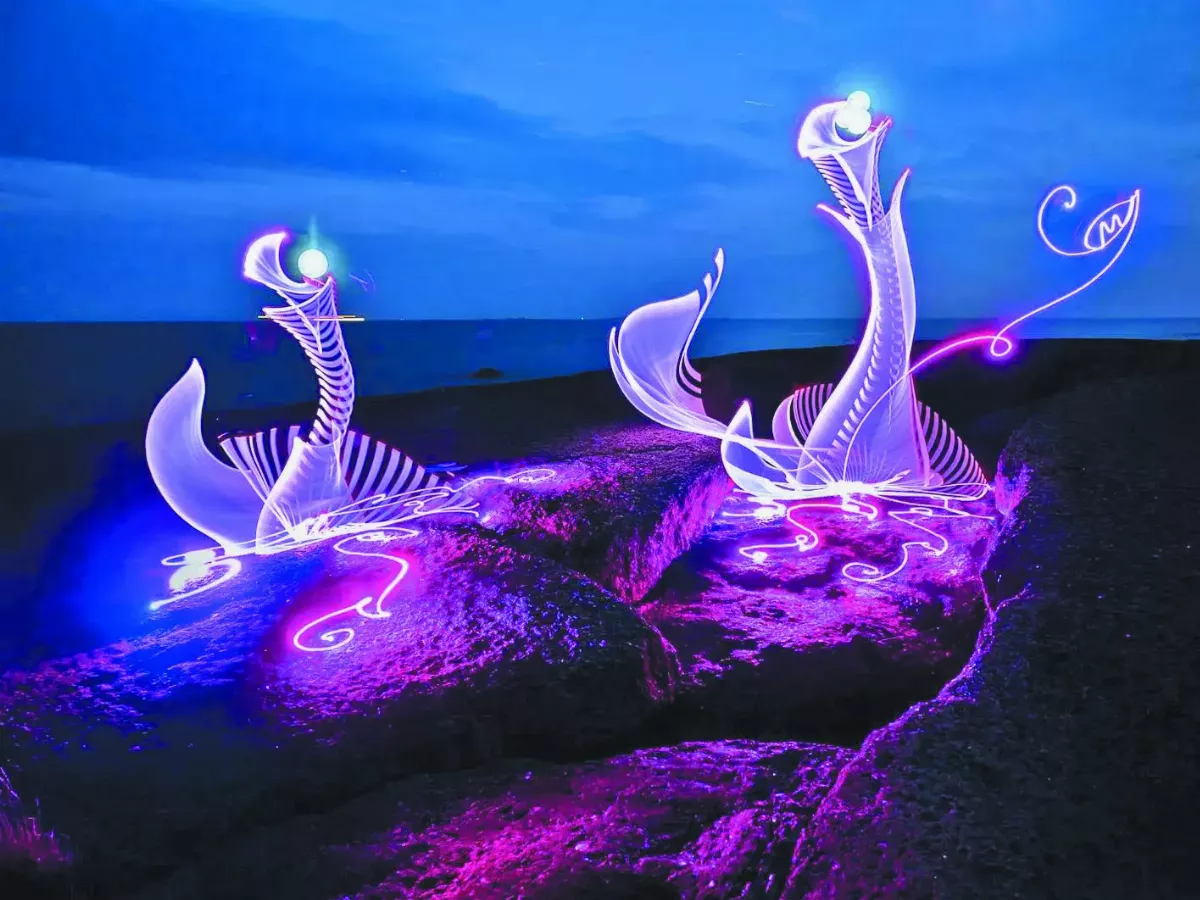 暫存世界1秒鐘 夢幻光畫  永夜綻放奇蹟之花