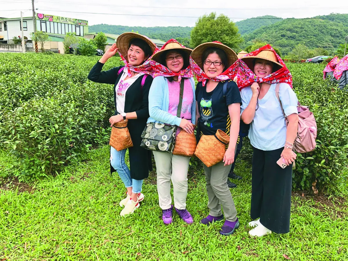 【印象旅人】 福山採茶遊湖樂