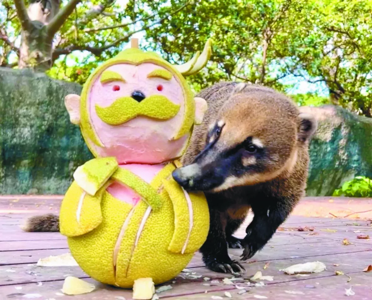 動物園過佳節 手雕造型柚