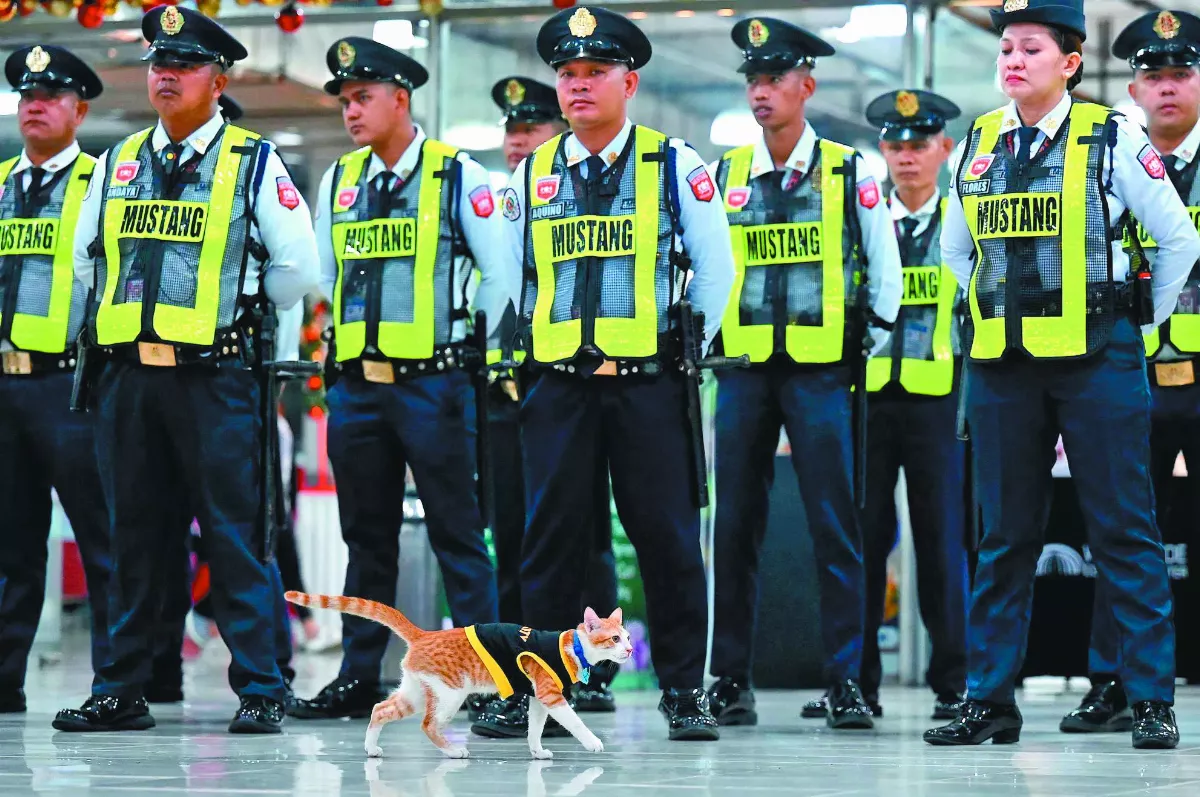 保安隊員  貓咪柯南