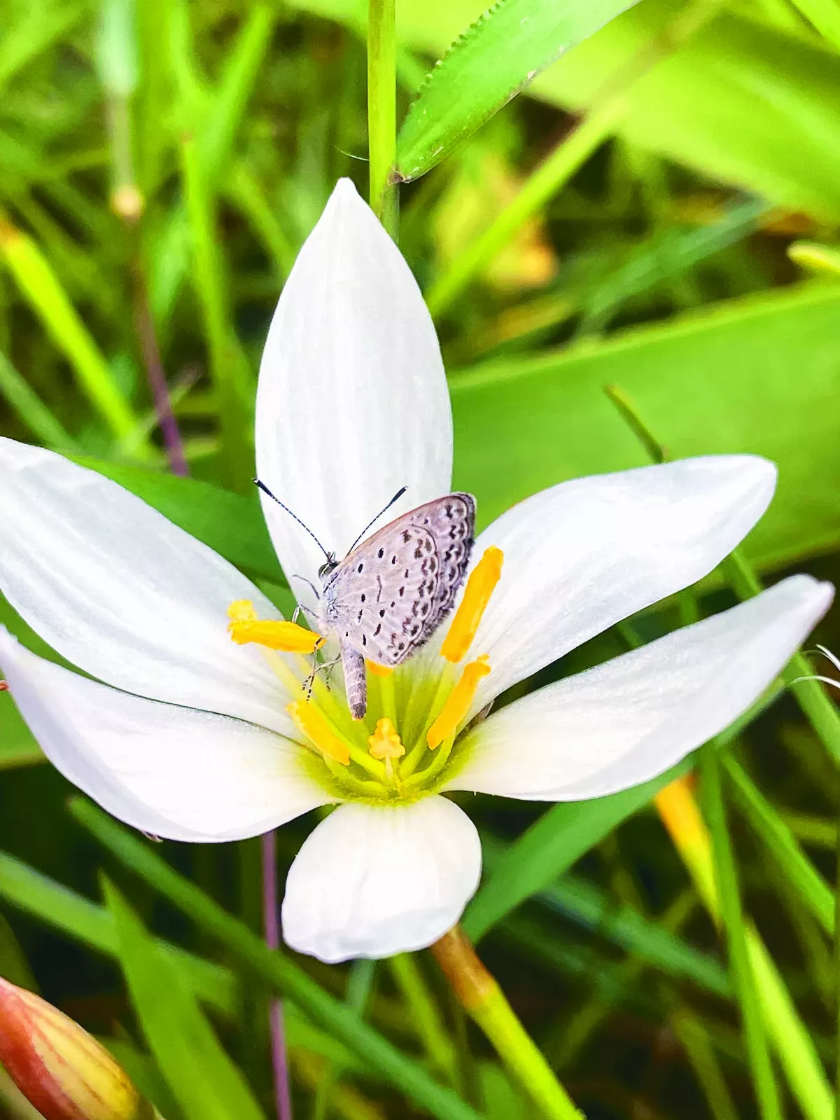 【驚喜相遇】最美的點點