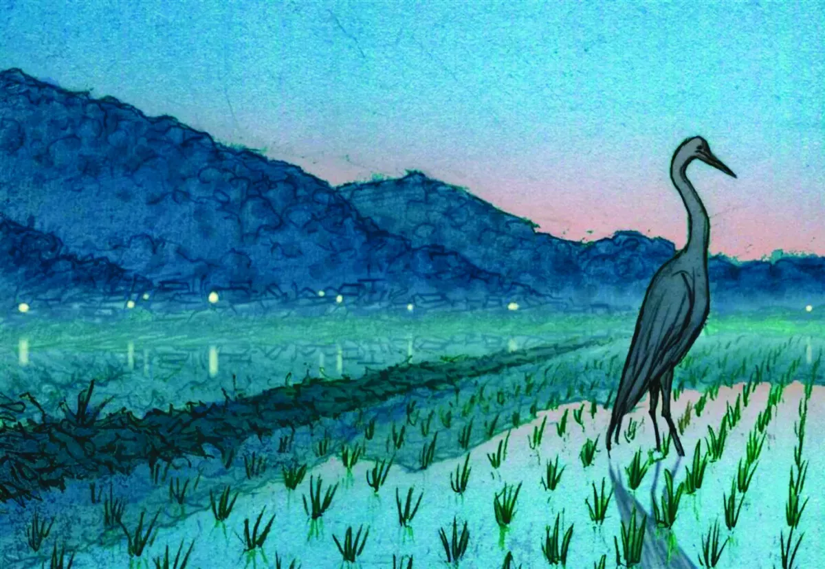 美插畫家  新作當情書給台灣