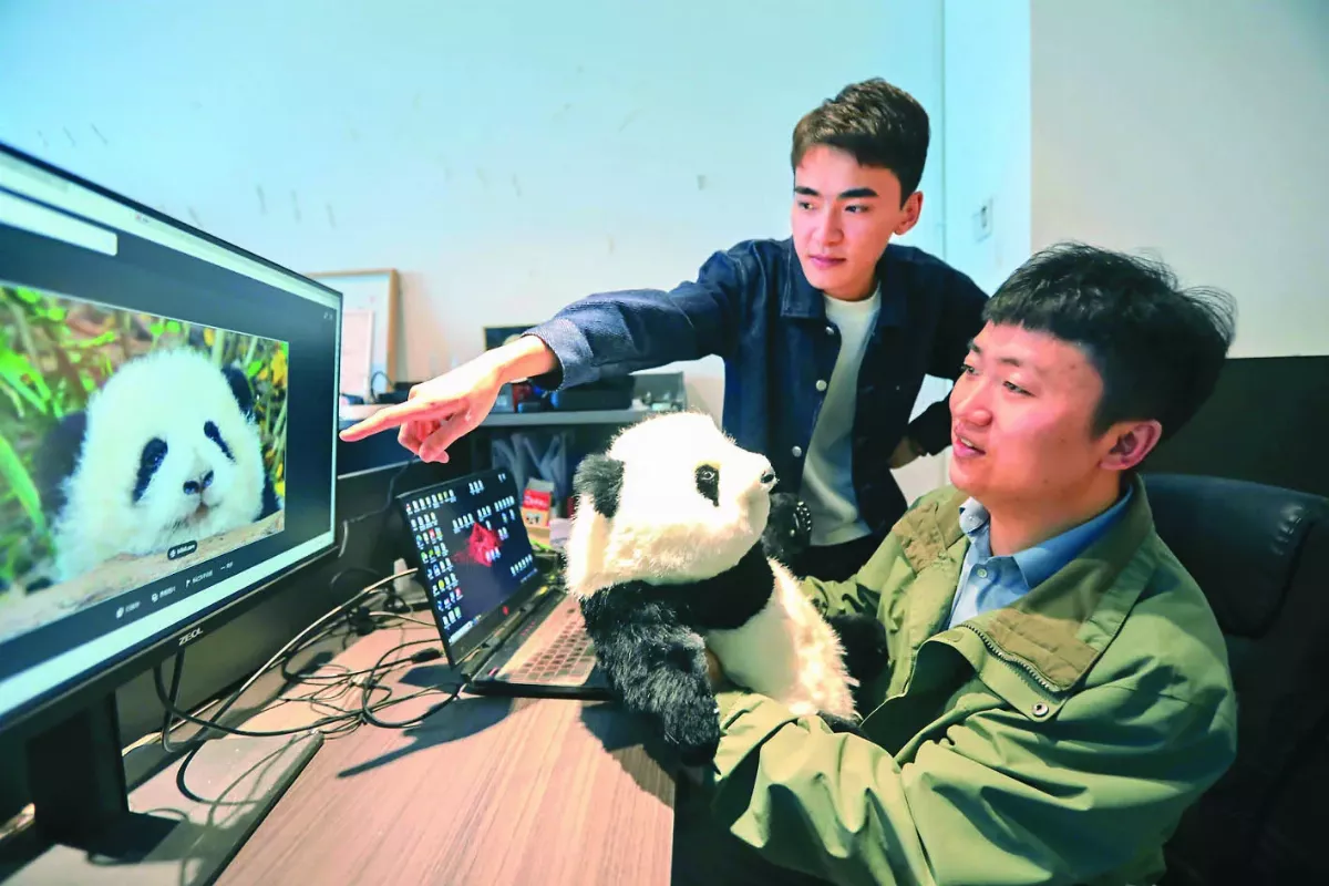 50道工序 打造1隻大貓熊玩偶