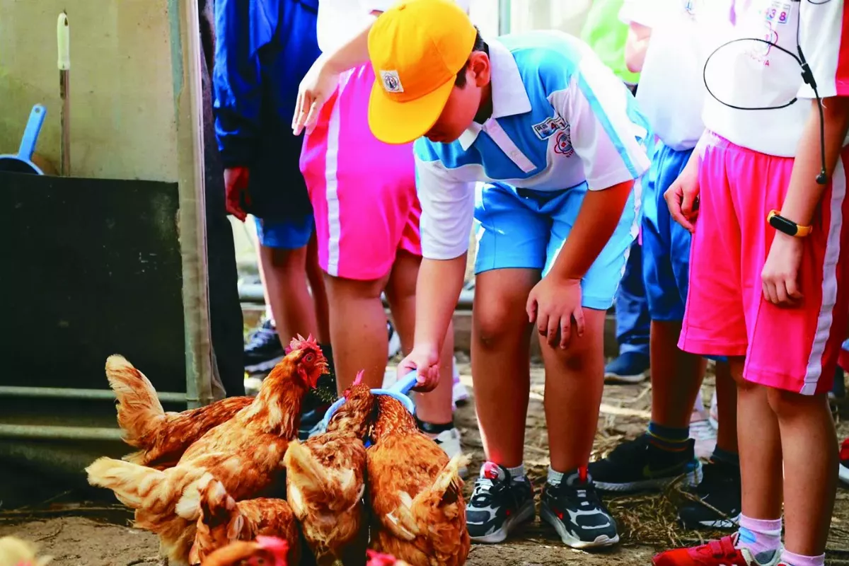 嘉大食農教育  學童體驗種菜餵雞