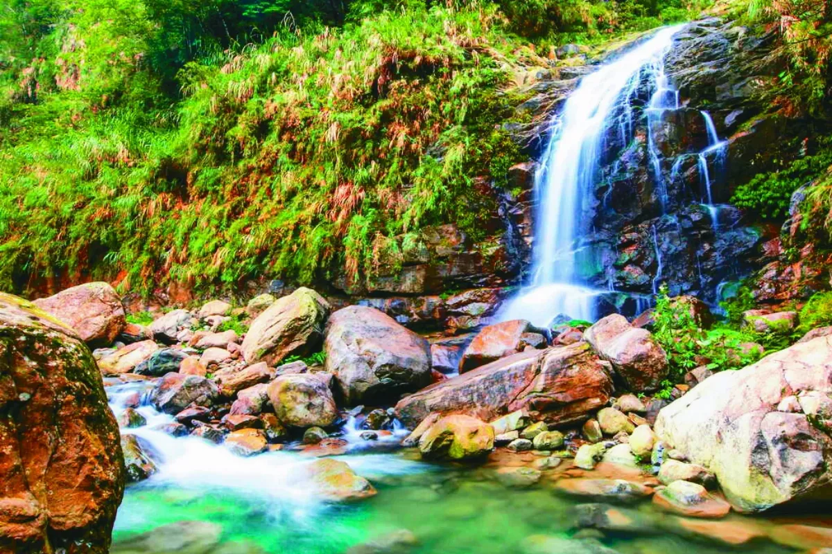 【海闊天空】觀音瀑布 聽雨品茗謁如來