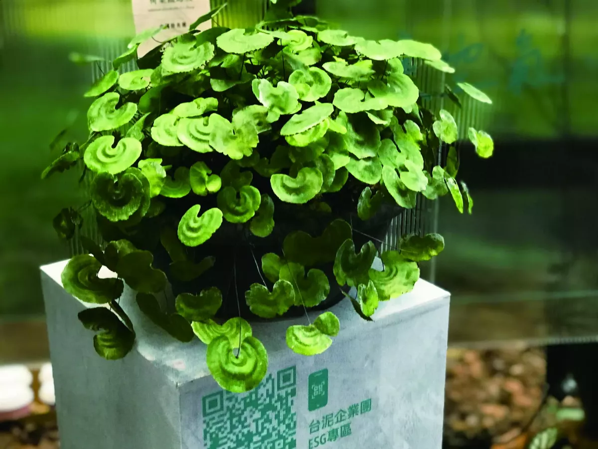 【時光重逢】 從一顆種子開始