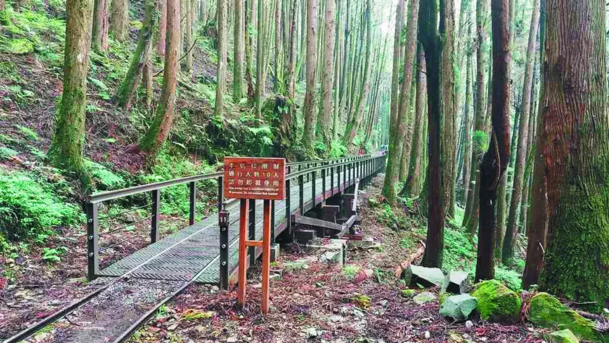 特富野古道 開放通行