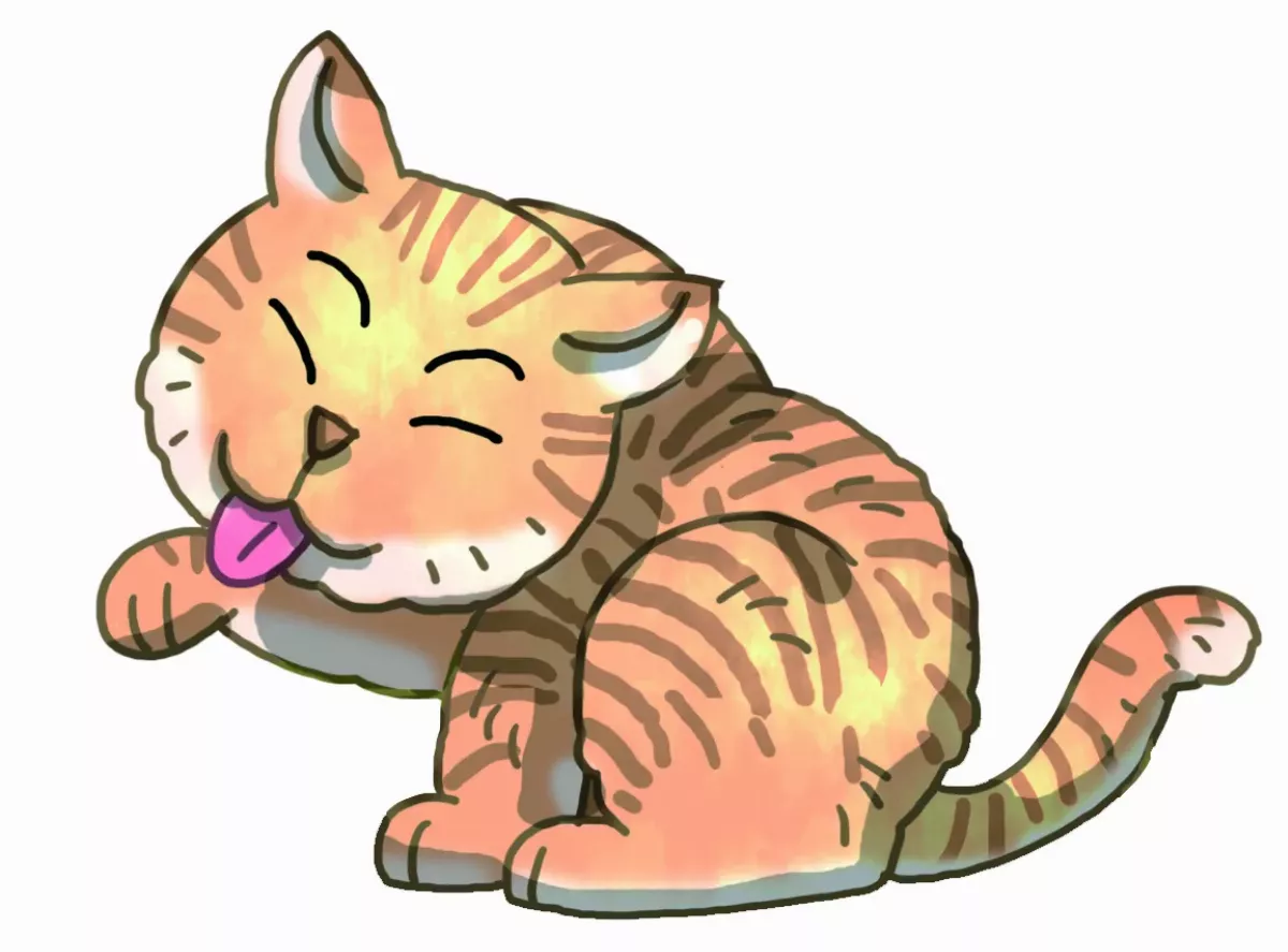 動物洗澡大探索