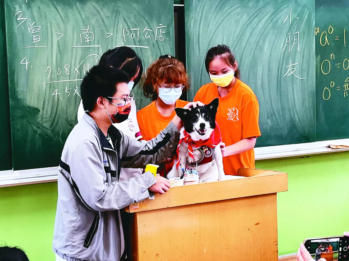 【台灣動物保護故事 系列１】一堂發人深省的選修課 浪浪變身校園犬貓