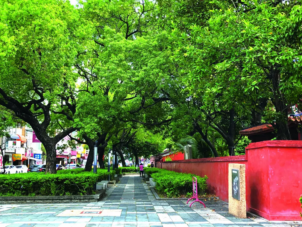 【回味往事】克難旅行 甜蜜蜜 