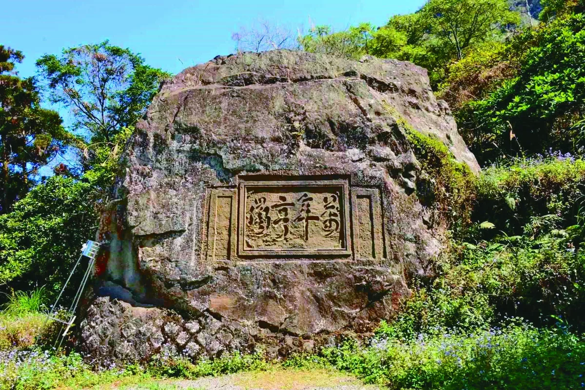 南投．鹿谷 凍頂烏龍名氣揚 雲霧山林話茶鄉
