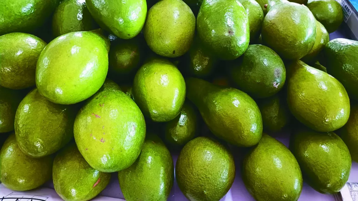 酪梨王大賽 大內高手催買氣