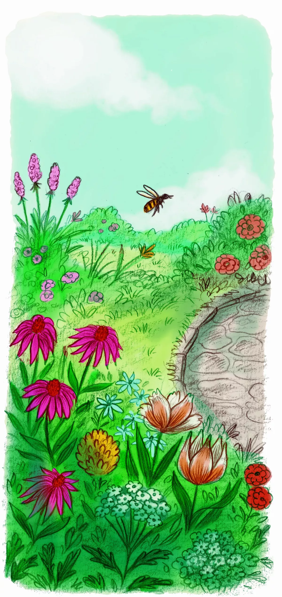 蜜蜂授粉