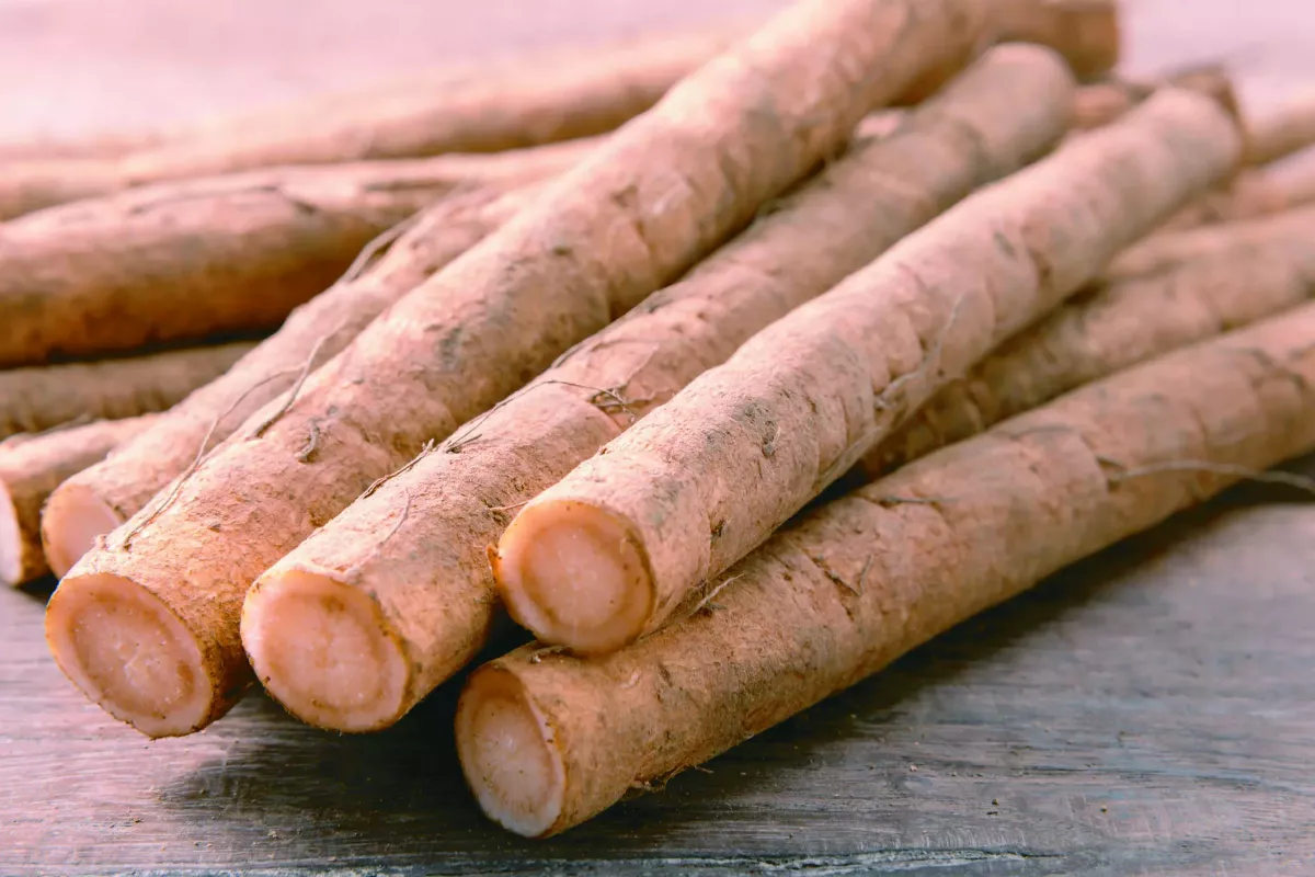 【蘭音齋】 蔬食常備菜 醬香焦糖牛蒡