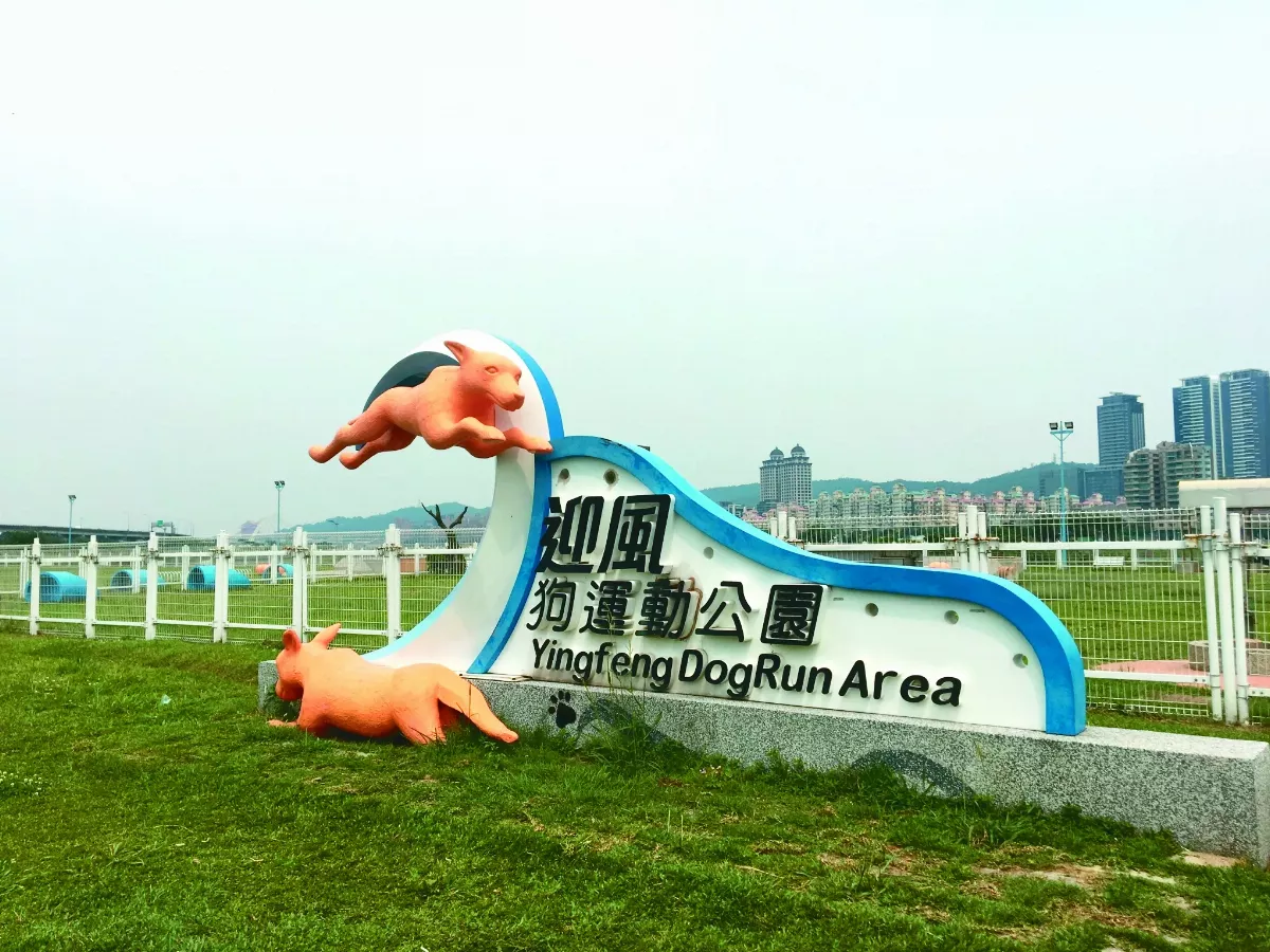 【台灣動物保護故事系列２】迎風狗瘋玩 期待一區一座寵物公園