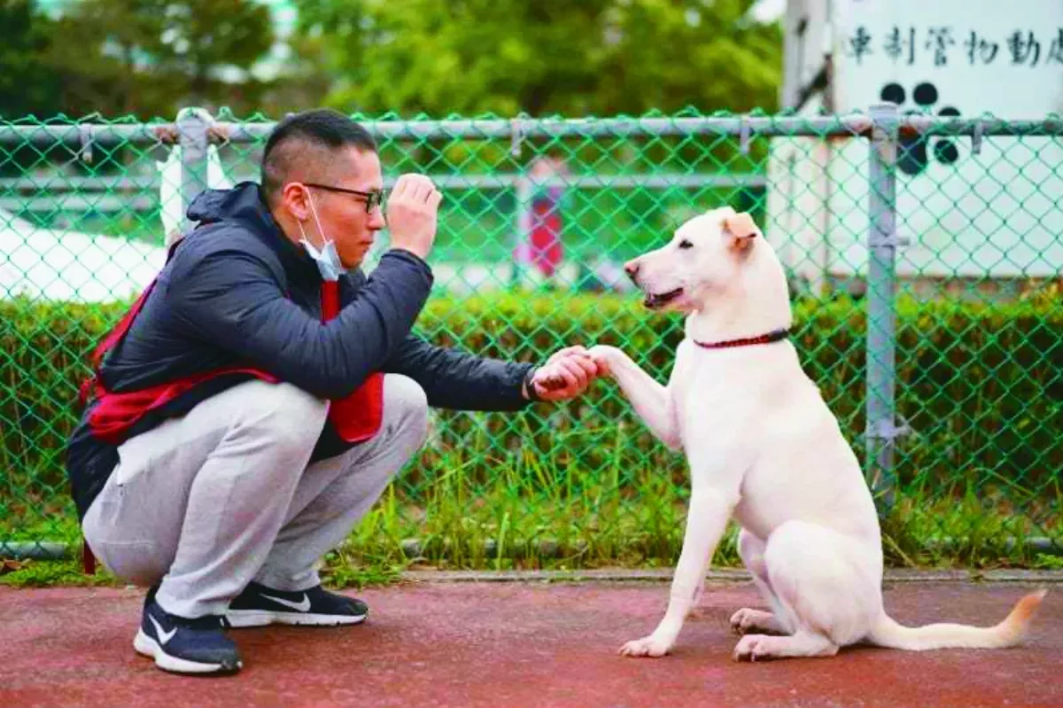 【台灣動物保護故事系列２】迎風狗瘋玩 期待一區一座寵物公園