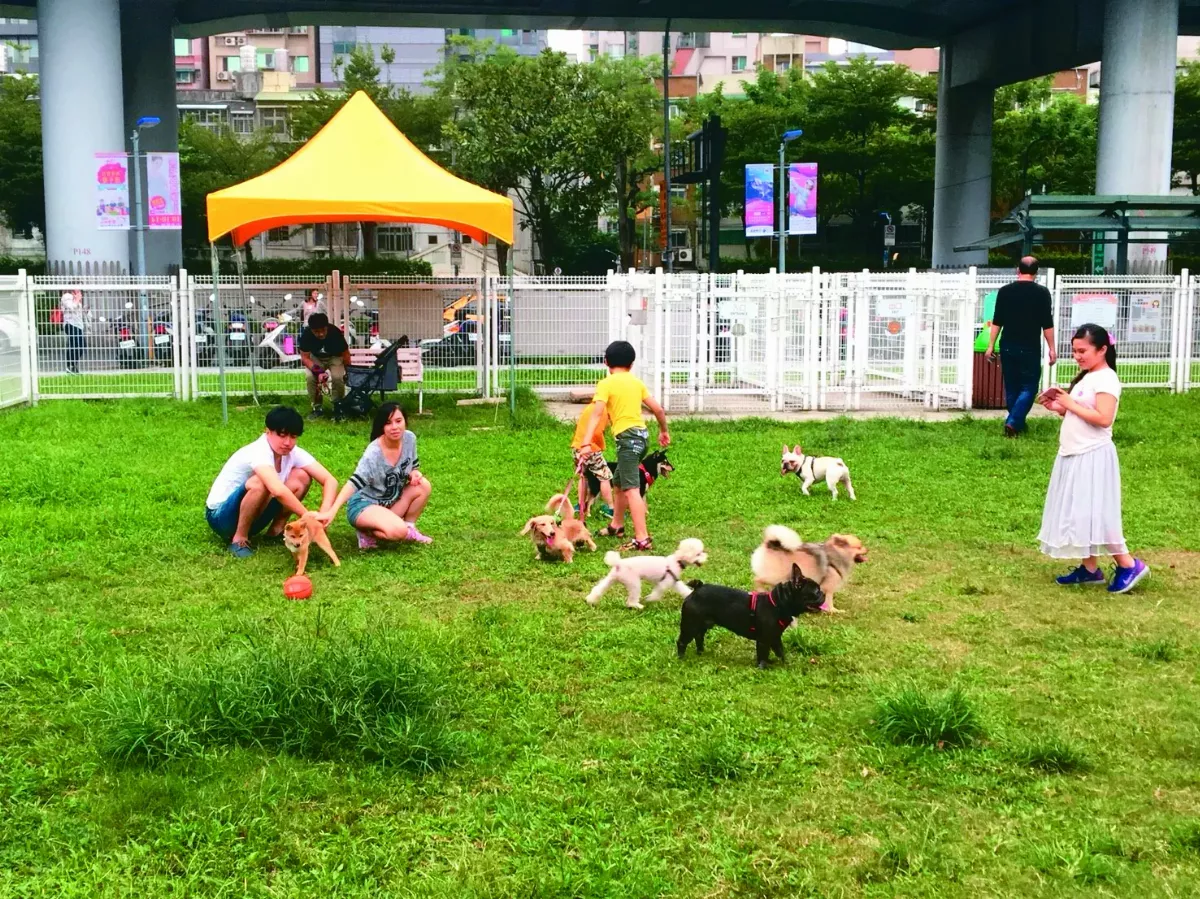【台灣動物保護故事系列２】迎風狗瘋玩 期待一區一座寵物公園