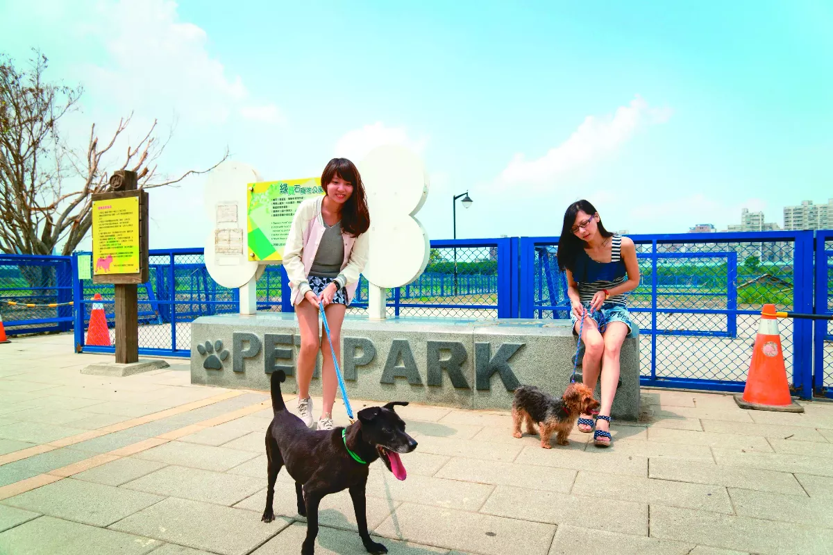【台灣動物保護故事系列２】迎風狗瘋玩 期待一區一座寵物公園