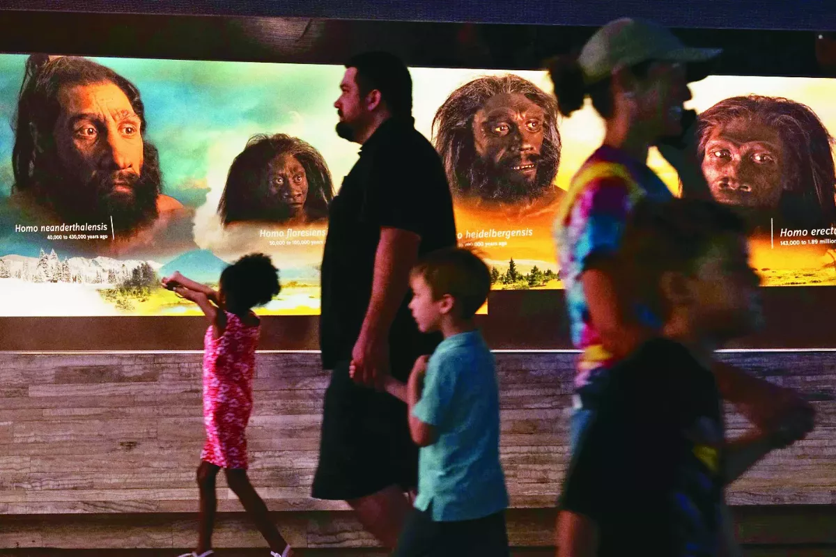 章魚基因圖譜  揭密腦神經元可塑力