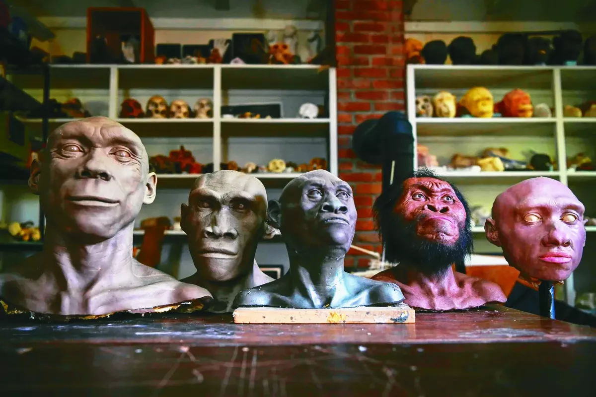 章魚基因圖譜  揭密腦神經元可塑力