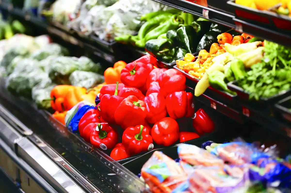 章魚基因圖譜  揭密腦神經元可塑力