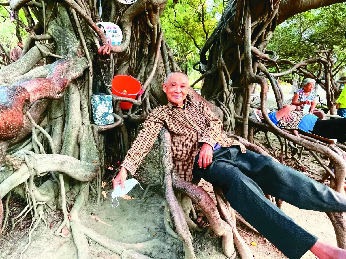 老榕復健椅 見證26年人樹情誼