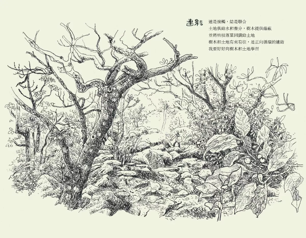 【深頁凝視】《慢漫生活》慢下來  覺察種種瞬間的光芒