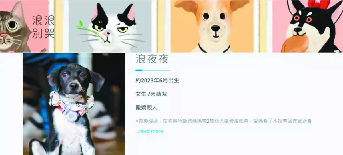 【台灣動物保護故事系列３】領養代替購買 送養浪浪 官民費盡心思